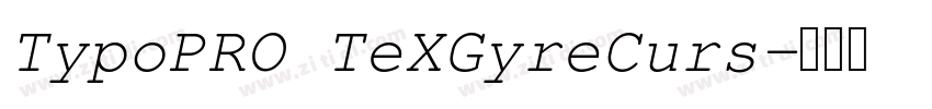 TypoPRO TeXGyreCurs字体转换 TypoPRO TeXGyreCurs字体转换